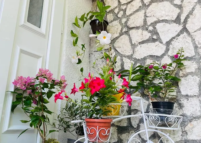 Apartment Blago Varna