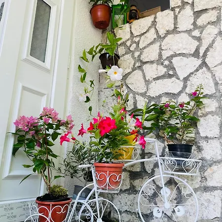 Apartment Blago Warna